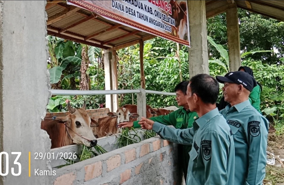 Pemerintah Kecamatan Muaradua Monev Program Ketahanan Pangan Desa Batu Belang II