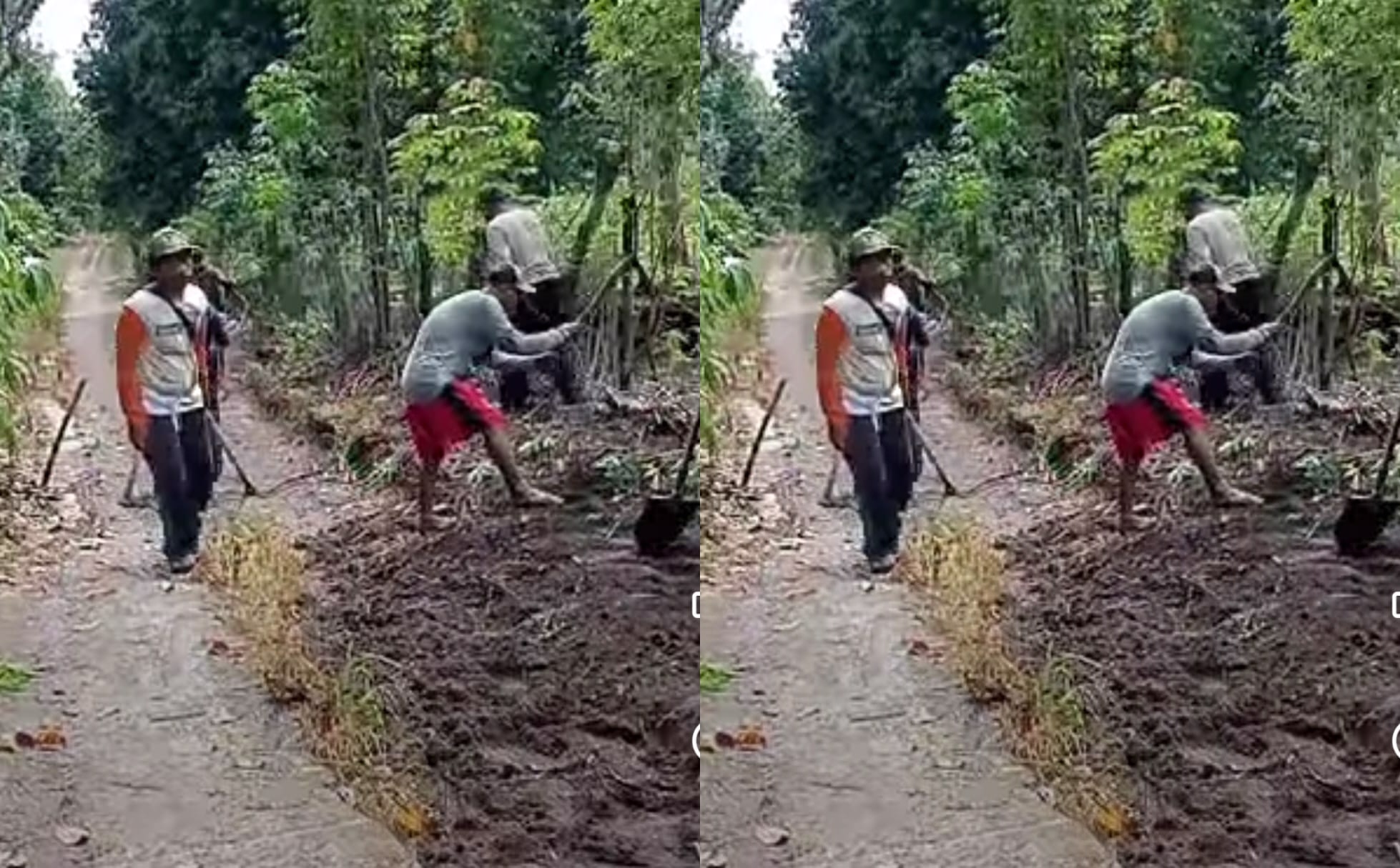 Warga Tanjung Iman BSA OKU Selatan Gotong Royong Perbaiki Jalan Desa