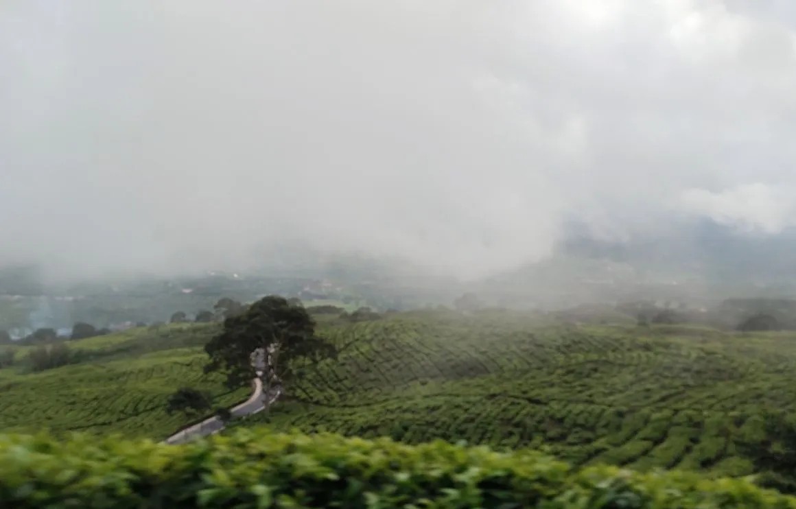 BRIGADE menutup jalur pendakian ke puncak Gunung Dempo