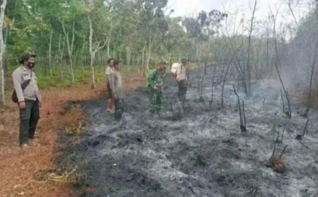 BPBD Catat 33 Bencana Terjadi di Sumsel Sejak Awal Tahun