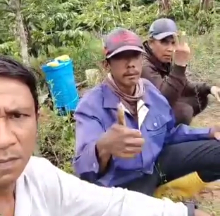 Petani Kopi di OKU Selatan Merasa Senang dengan Buah Kopi yang Cukup Lebat