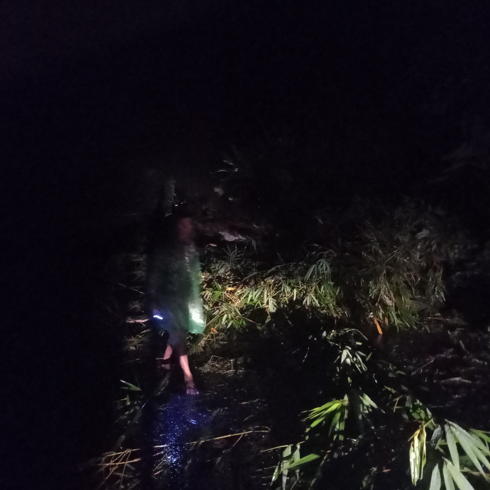 Breaking News : Longsor Terjang Desa Tanjung Kari, Aktivitas Lalulintas Lumpuh