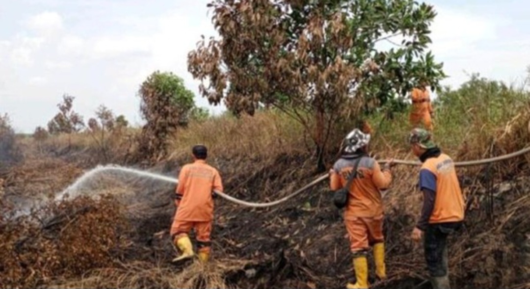 Karhutla Sumsel 2025 Capai 5.939,8 Hektare, OKI Jadi Daerah Terluas Terbakar