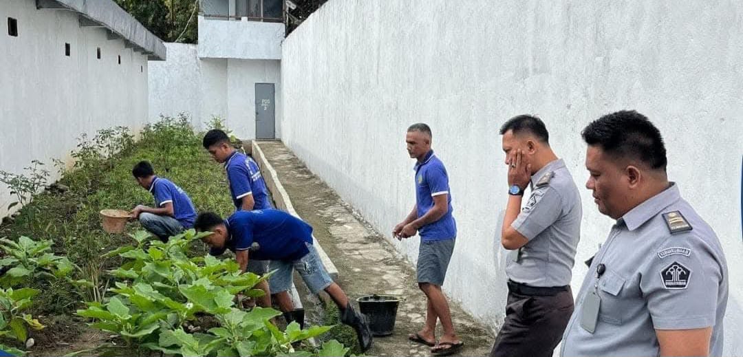 Lapas Muaradua Wujudkan Ketahanan Pangan, WBP Panen Sayuran Terong