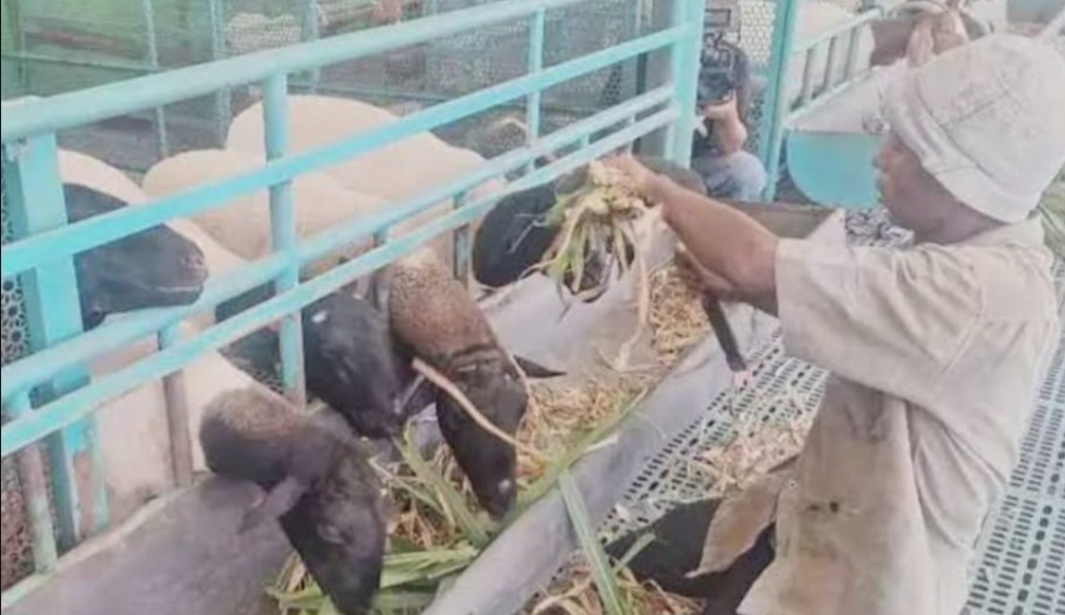 Tiga Tahun Realisasi Dana Desa di Gedung Ranau Diduga Bermasalah, Warga Teriak Korupsi