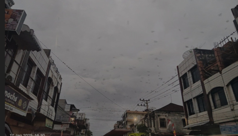 Fenomena Burung Pipit di Musim Hujan OKU Selatan