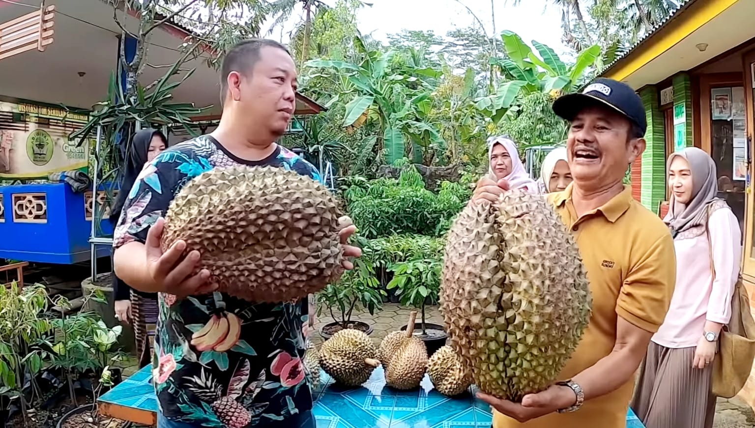Melihat Durian Bhineka Bawor, Durian Raksasa dari Banyumas yang Memikat dengan Bobot dan Harganya yang Mewah