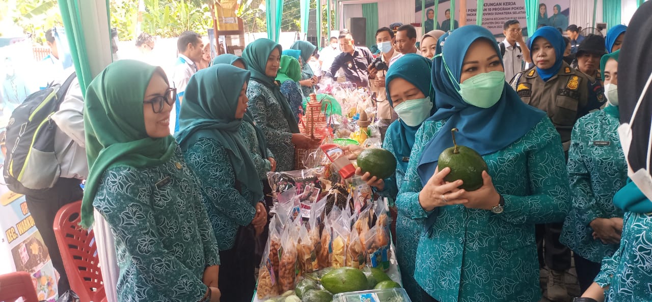 Hj Febrita Deru Terpukau Dengan Alpukat Ranau