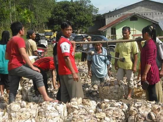 Harga Getah Karet di OKUS Kembali Turun