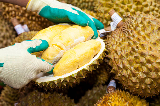 Kenali 5 Pantangan Durian untuk Makan yang Lebih Sehat! Apa Saja Yang Harus Di Hindari?