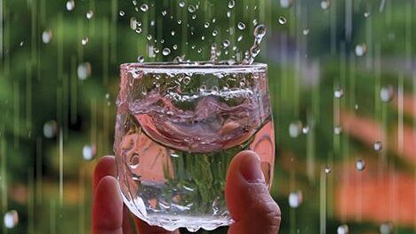 Amankah Mengonsumsi Air Hujan untuk Kesehatan Tubuh? Ini Fakta yang Perlu Diketahui