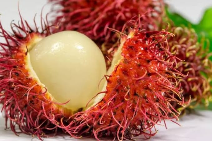 Kulit Rambutan Ternyata Punya Manfaat Tak Terduga, Jangan Dibuang!