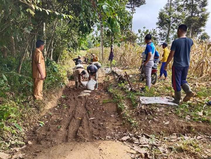 Ramai-ramai Gotong Royong Perbaiki Jalan Usaha Tani