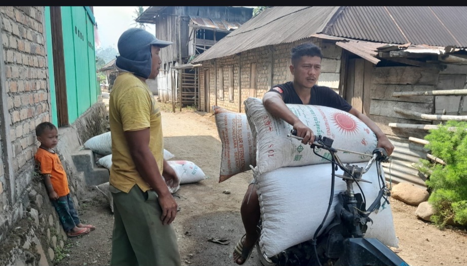 Harga Kopi Masih Stabil, Petani OKU Selatan Merasa Tenang
