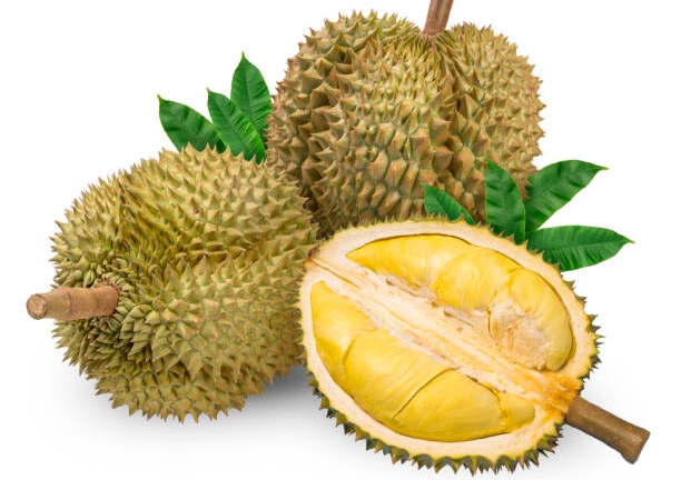 Buah Durian, Raja Nutrisi bagi Kesehatan Anda!
