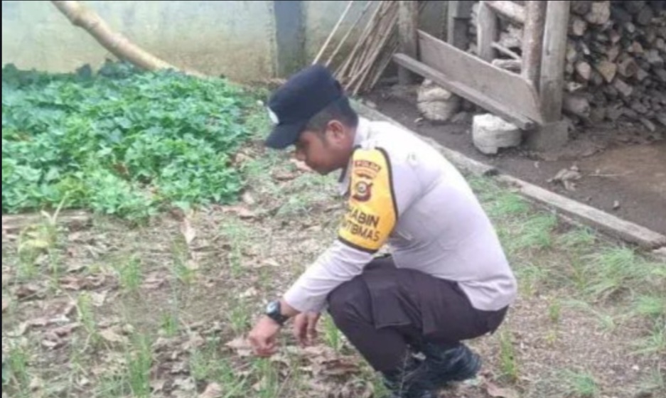 Polsek Kisam Tinggi Ajak Warga Manfaatkan Pekarangan Tanam Sayur