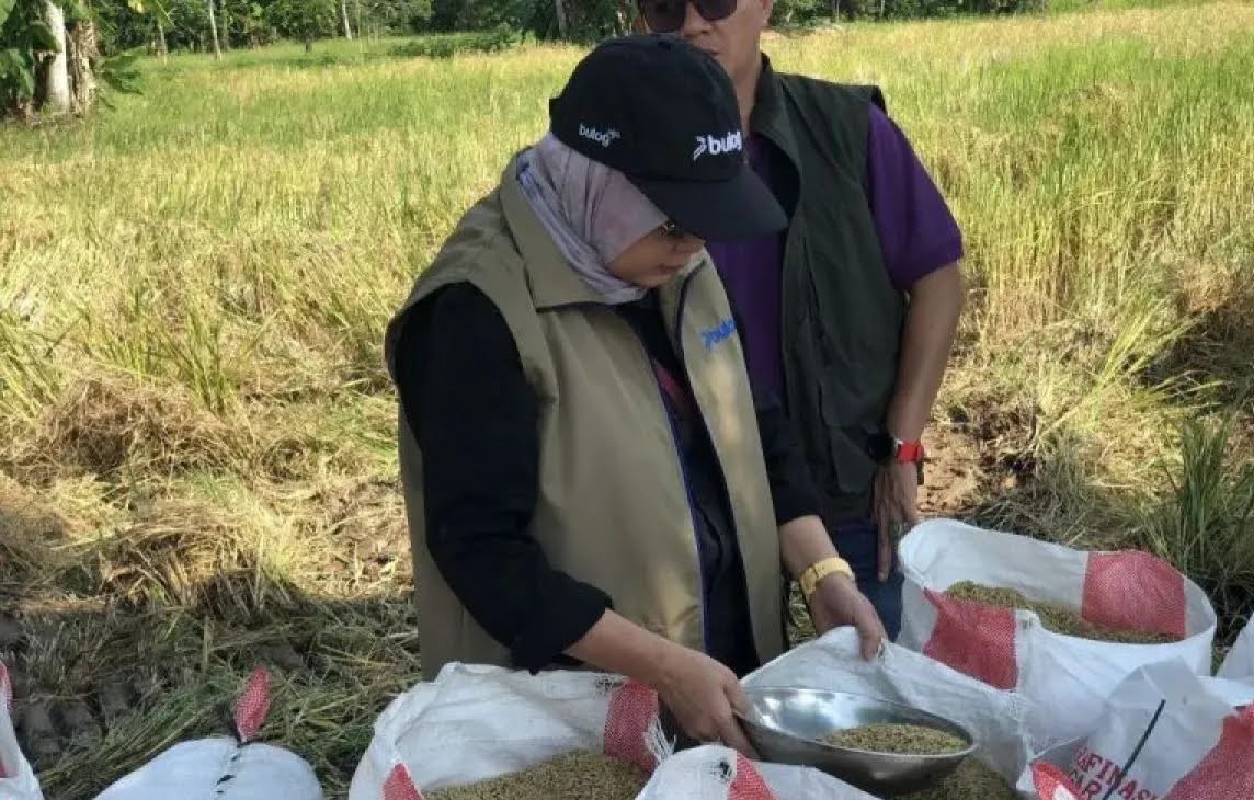 176.682 Ton Beras Jadi Target Serapan Bulog Sumsel Babel 2026