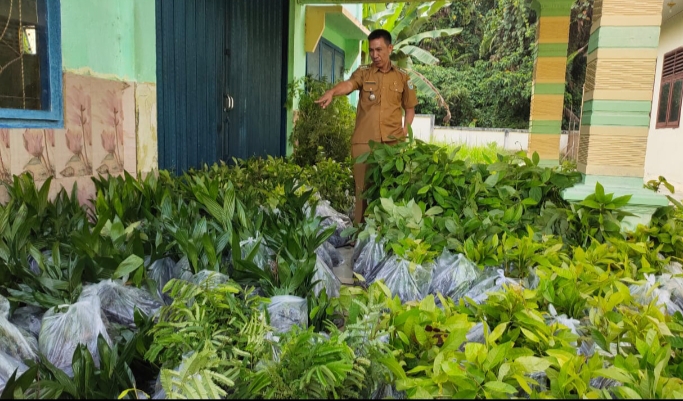 Kecamatan Tiga Dihaji Menerima Bantuan 20 Ribu Bibit Pohon