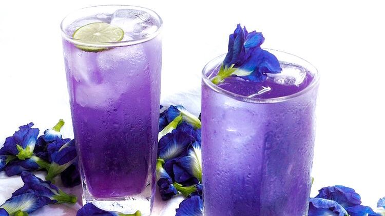 Mengintip Khasiat Bunga Telanga Bagi Kesehatan