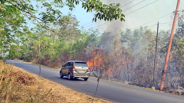 Lahan Kosong di Sekitar Jalan Lintas Martapura-Belitang Terbakar