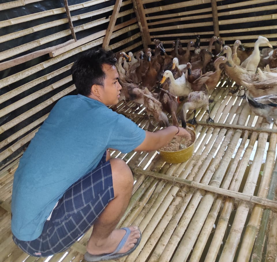 Menjadi Wirausaha Bebek Petelur, Angga Mencoba Usaha di Dunia Ternak