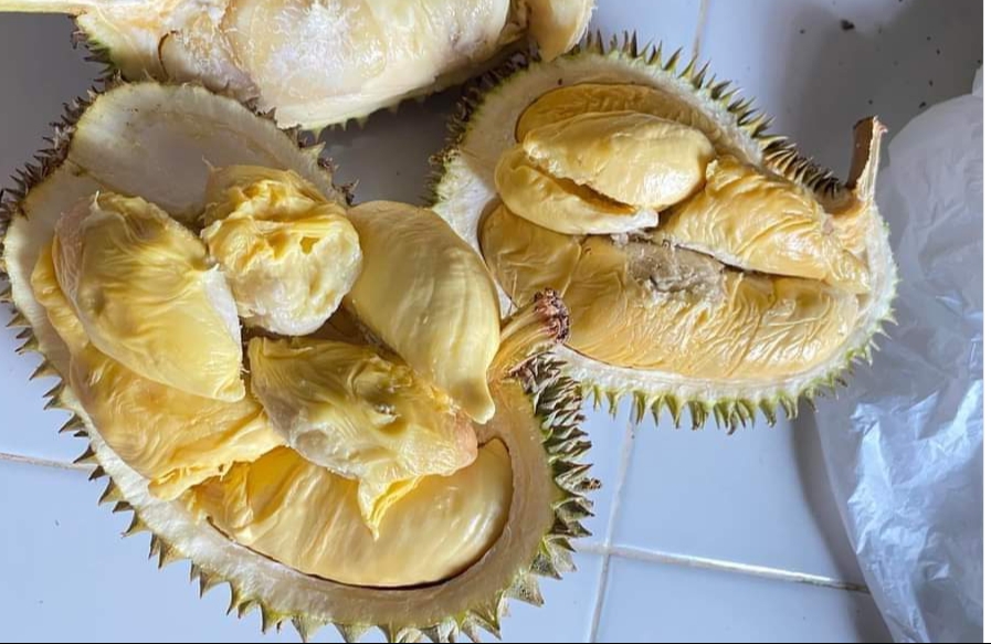 Lempok Terbuat dari Durian, Kenikmatan Khas dari OKU Selatan yang Menggugah Selera