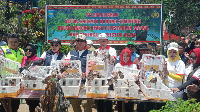 Lepasan 50 Burung Kitiran di Gunung Seminung Di Peringatan Hari Sumpah Pemuda