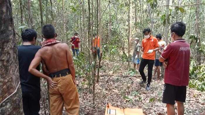 Warga Sebadak PALI Ditemukan Membusuk di Kebun Karet