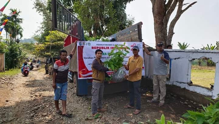 Kecamatan Kisam Tinggi Terima Bantuan Bibit Pohon untuk Penghijauan