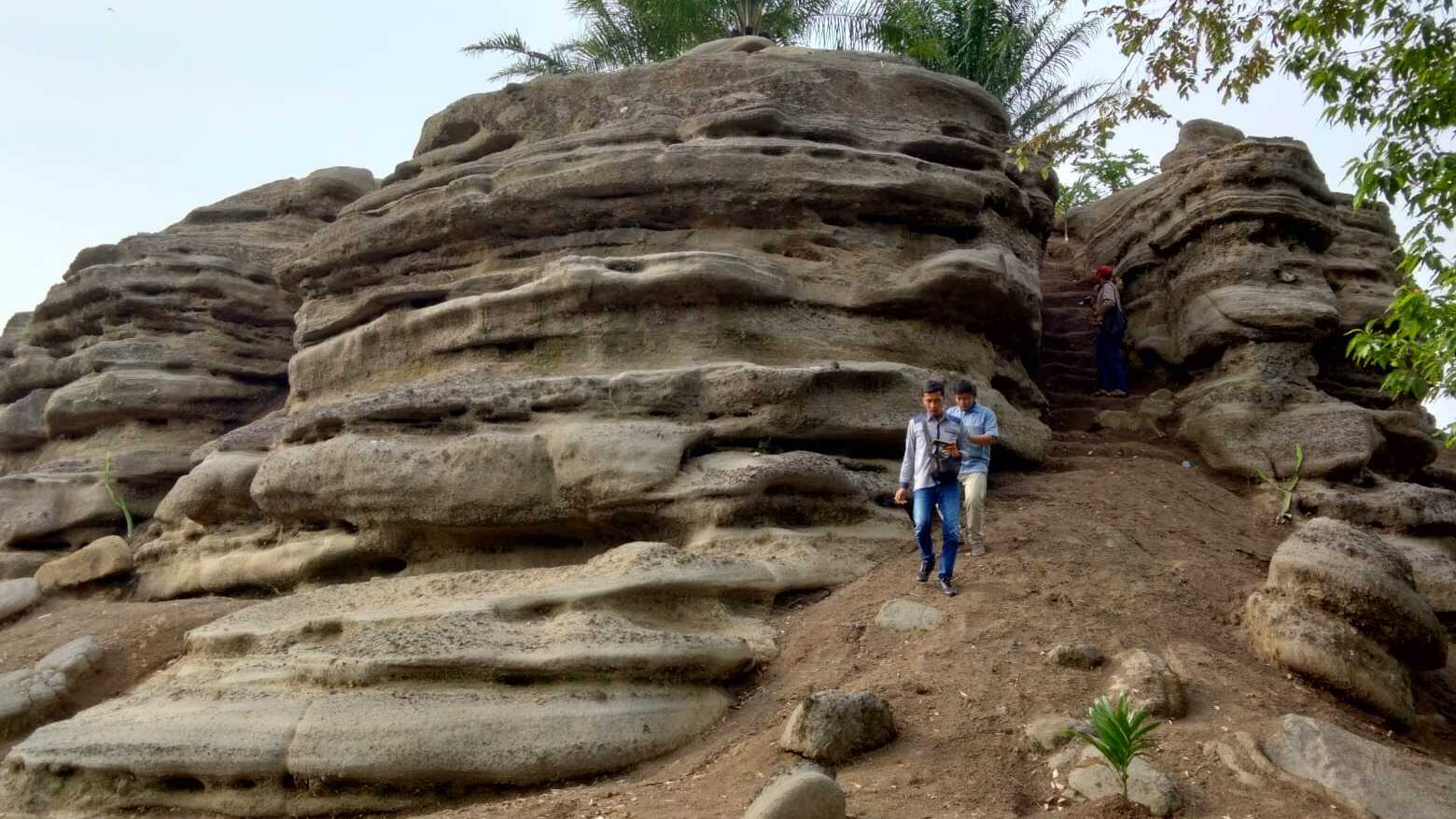 Wisata Bukit Saka Sawit Buay Pemaca OKU Selatan, Tempat Indah Namun Mistis yang Menarik Untuk Dikunjungi