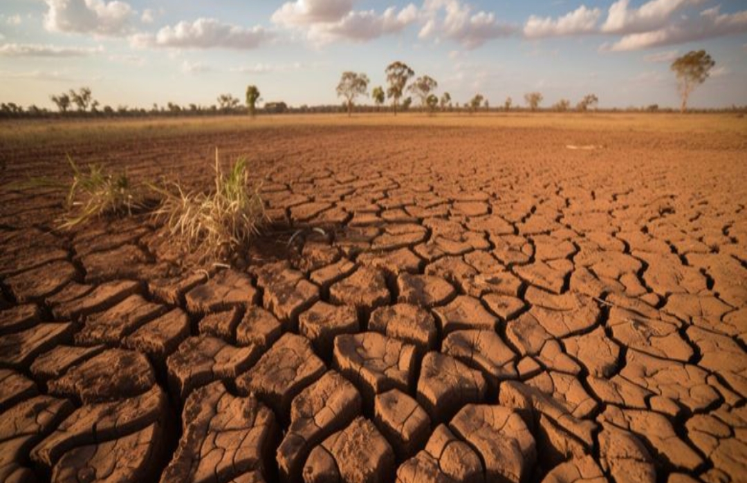 Kemarau di Sumsel Diprediksi Mulai Mei, Berlangsung hingga 5 Bulan