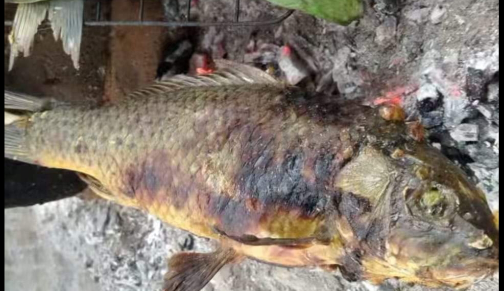 Ikan Bakar OKU Selatan, Simbol Kuliner yang Memikat Lidah!