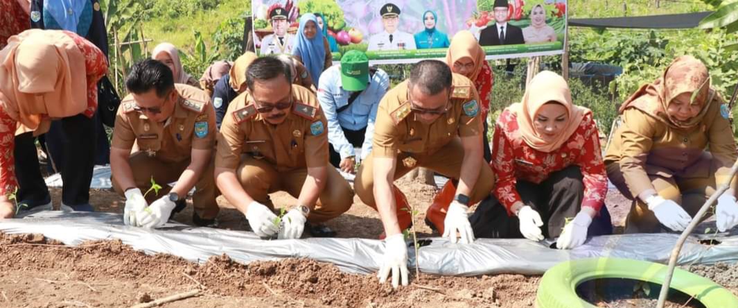 Pemkab OKU Selatan Ikuti Tanam Cabai Serentak