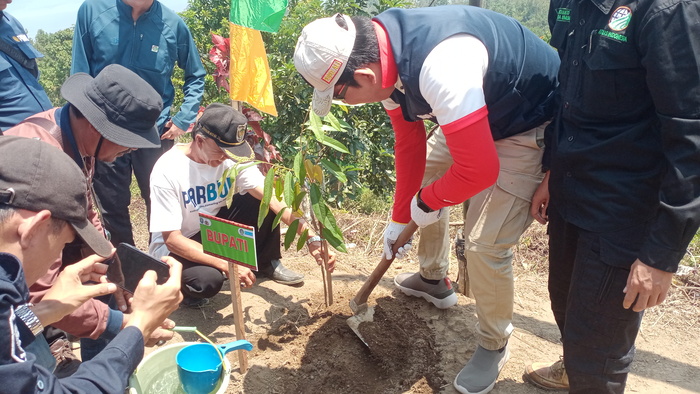  Pemerintah Daerah  OKU Selatan Menanam 4.200 Pohon di Kaki Gunung Seminung