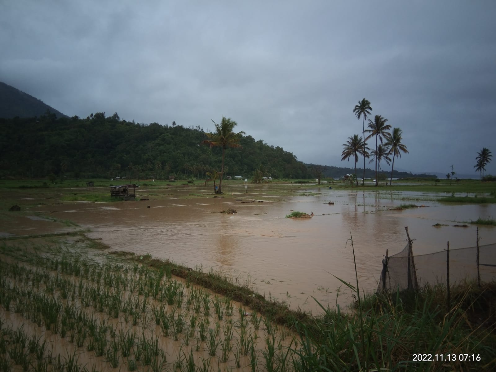 Banjir Terbesar Setelah 50 Tahun