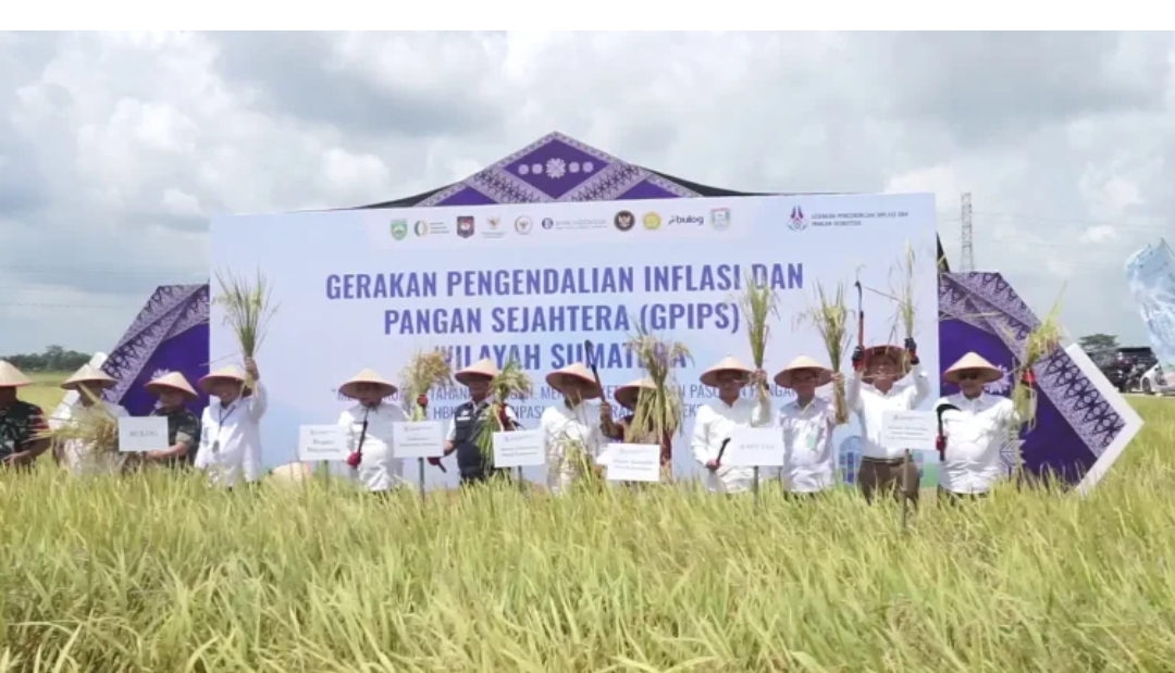 Pemerintah Percepat Realisasi Program Strategis Nasional, Fokus Infrastruktur dan Ketahanan Pangan