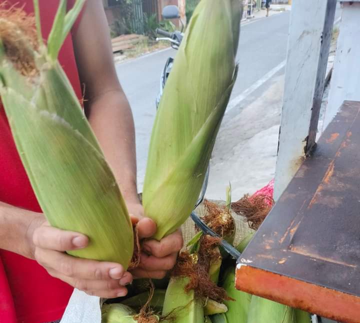 Pedagang Jagung Lokal, Meraih Berkah di Hari Natal Tahun 2023