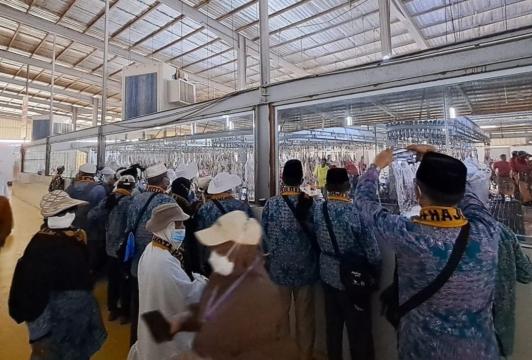 Daging Dam Jemaah Haji Indonesia Dapat Disembelih dan Dibagikan di Tanah Air? 