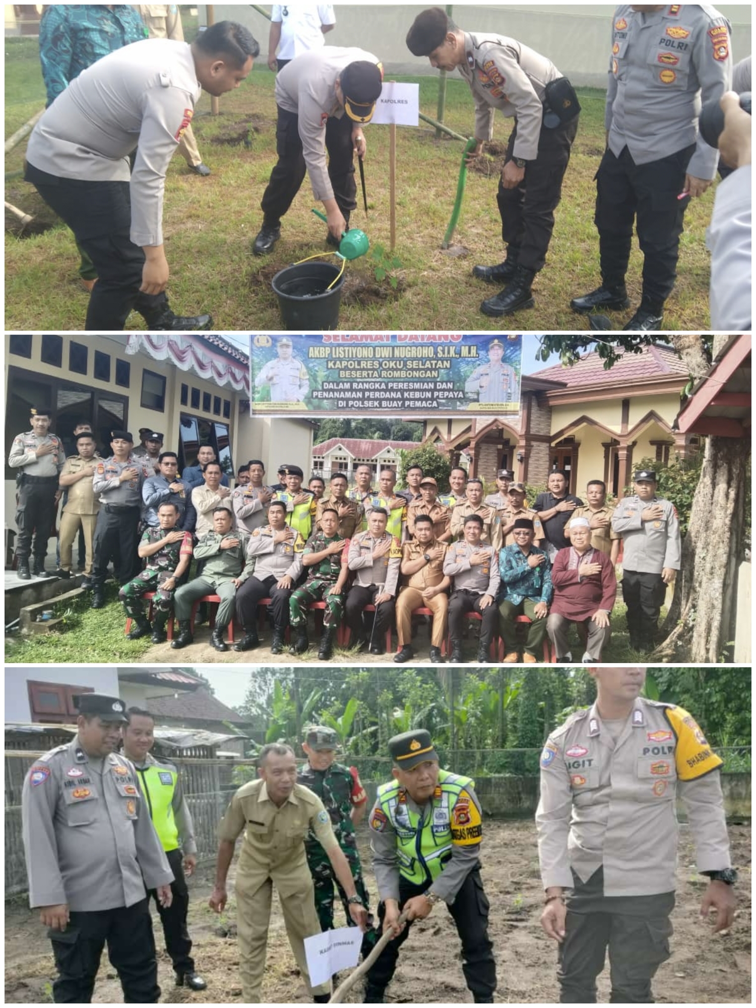 Kapolres Oku Selatan Resmikan Kebun Pepaya di Polsek Buay Pemaca, Ajak Bersinergi Tingkatkan Pendapatan Warga