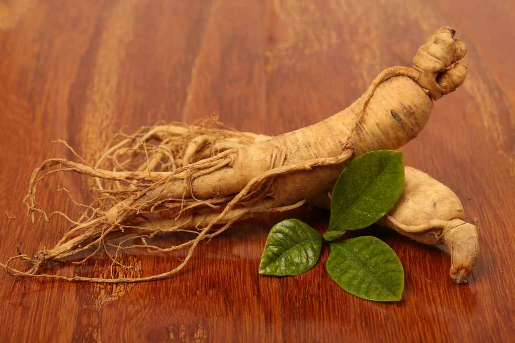 Ginseng, Si Ajaib Penyembuh Stres dan Penambah Kekebalan Tubuh!