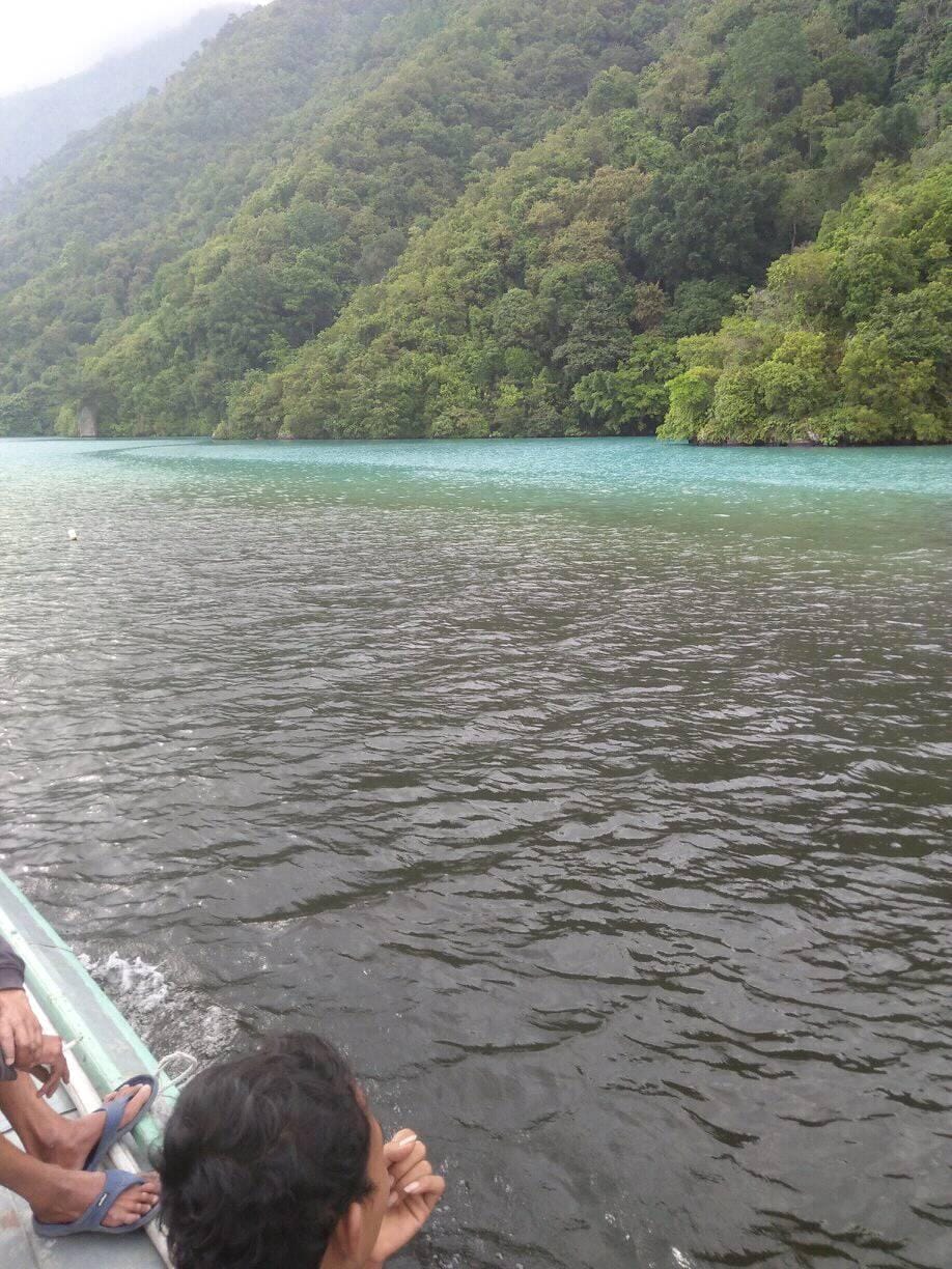 Timbulkan Aroma Busuk Belerang, Air Danau Ranau Berubah Dua Warna Benarkah ni Penyebab Jutaan Ikan Keracunan