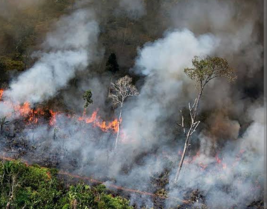 Antisipasi Karhutla, BPBD Lampung Gandeng Sumsel Siagakan Water Bombing