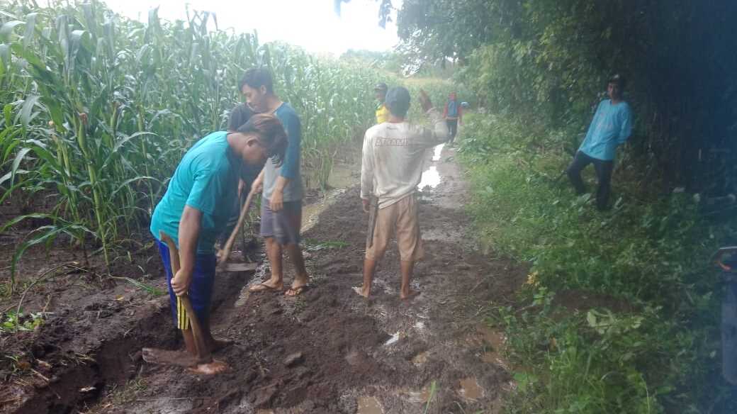 Secara Swadaya, Warga Karang Agung Timbun Jalan Menuju Perkebunan