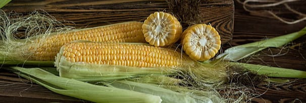 Waw, Ternyata Rambut Jagung Banyak Manfaat Untuk Kesehata, Begini Salah satu Resep Mengolahnya