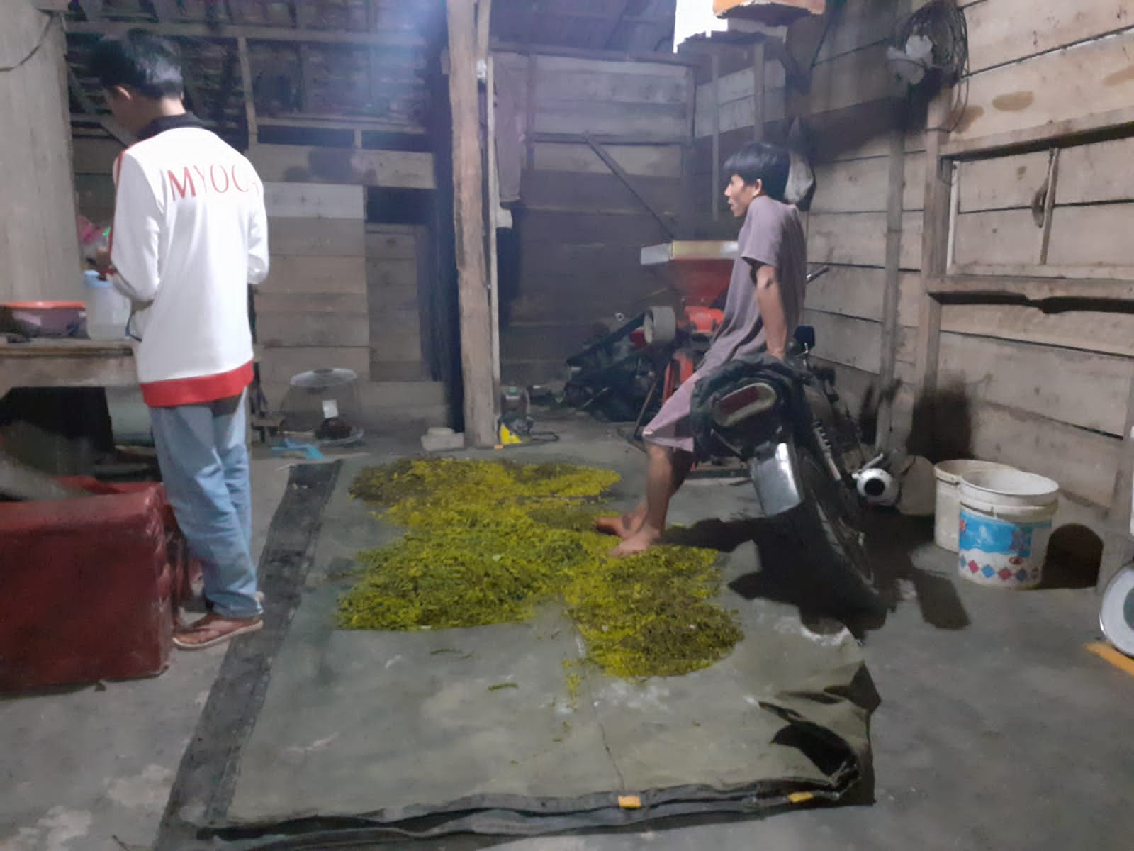 Jelang Lebaran Petani Lada Harapkan Harga Jual Naik