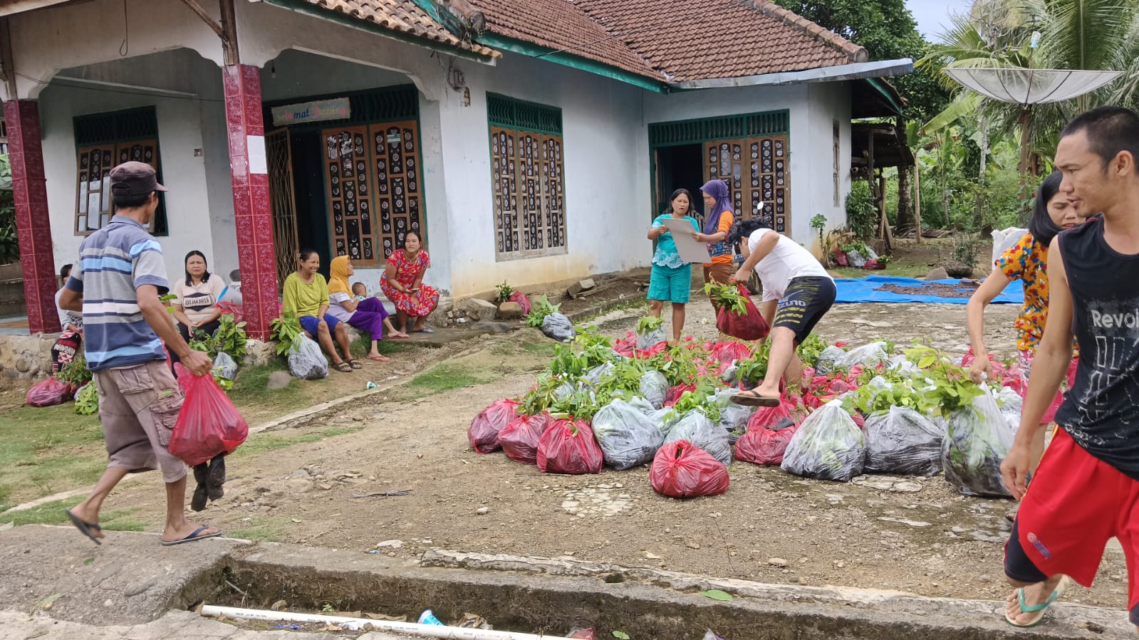 Partai Gelombang Rakyat (Gelora) OKU Selatan Berbagi Bibit Pohon untuk Penghijauan Lahan dan Kesejahteraan Mas