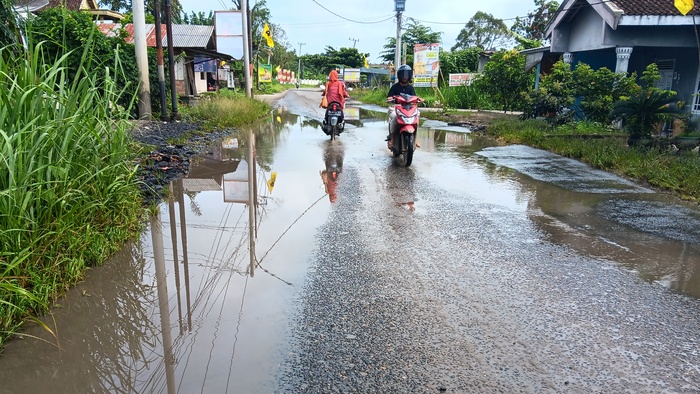 Genangan Air Hambat Lalu Lintas, Warga Desa Sukajaya Minta Dibangun Talud di Jalan Raya Lintas Ranau