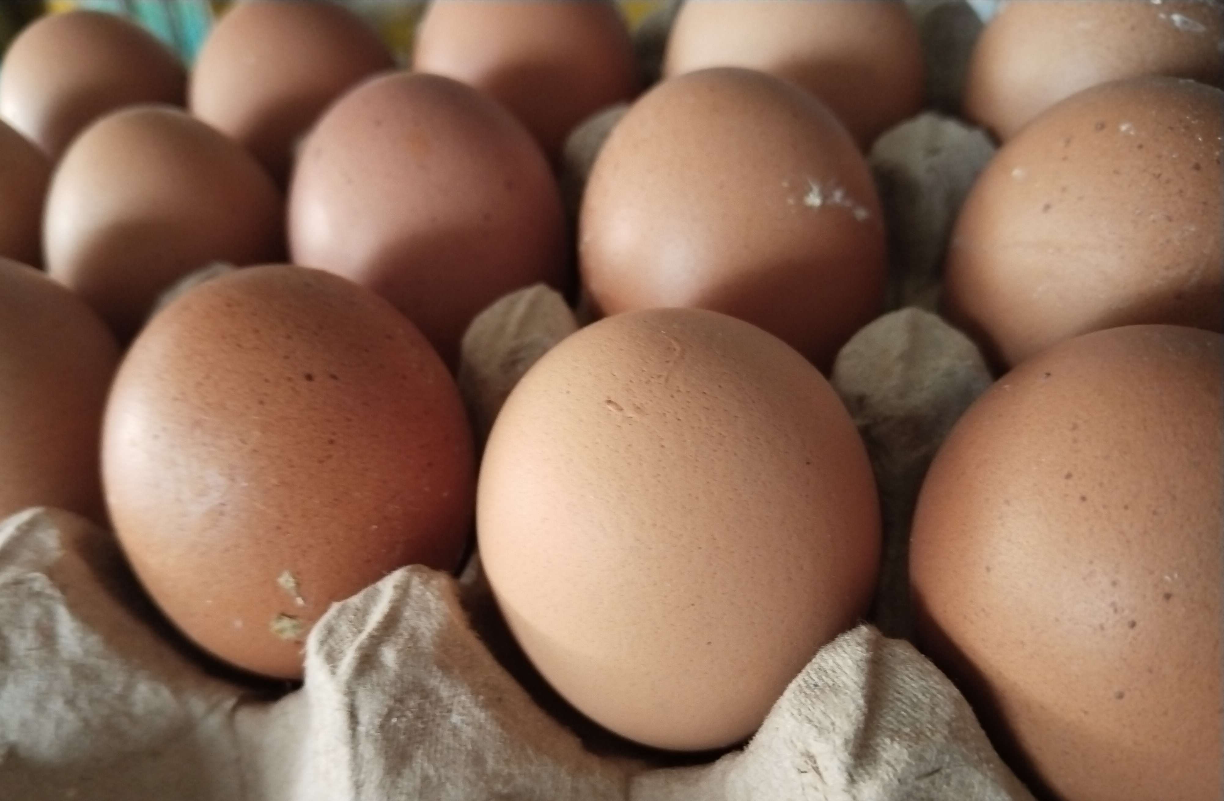 3 Cara Memasak Telur dengan Cepat dan Praktis untuk Sarapan Sehat