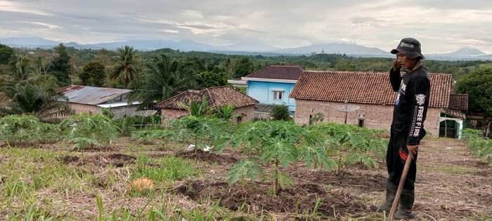 Warga OKU Selatan Manfaatkan Program GSMP untuk Meningkatkan Ekonomi