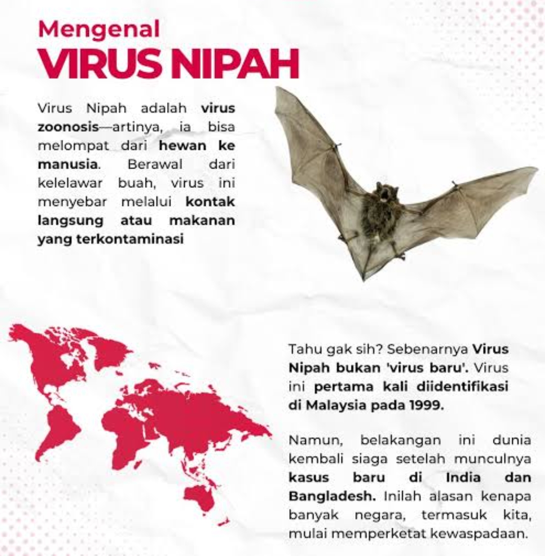 Indonesia Pastikan Tidak Ada Kasus Virus Nipah, Pengawasan Tetap Diperketat
